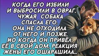 Привёл в дом собаку которая его спасла, но реакция жены его ошарашила...