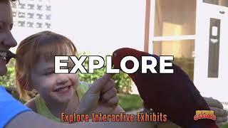 See Learn, & Explore at Reptile Gardens