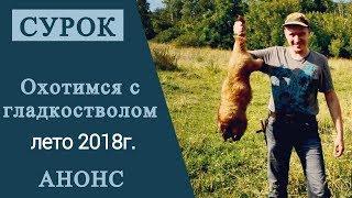 Охота на сурка с гладкостволом