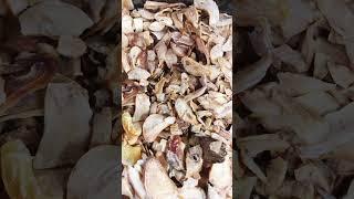 #garlic slices #spices #healthy #shortsvideo #usa