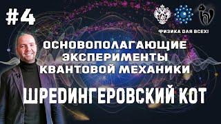 Основополагающие эксперименты квантовой механики #4. Шрёдингеровский кот