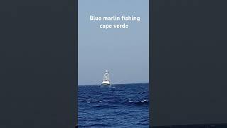 Blue marlin fishing cape verde #fishing #fish #bluemarlin #catchfish #bluemarlinfishing #capeverde