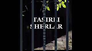 Tasirli Sherlar #@$$$_