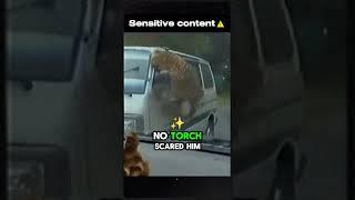 The Deadliest Leopard Ever #shorts #leopard