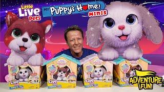 6 Little Live Pets My Puppy’s Home Minis! Build Home & Puppy Magically Arrives Toy Adventure Fun!