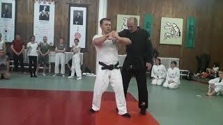 nippon kempo training kata- bunkai