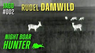 Rudel DAMWILD bei Nacht - NIGHT BOAR HUNTER #002