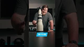 BIG LENS FAMILAR VIDEO #photography #wildlens #wildlifephotography