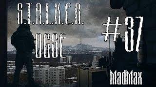 STALKER: OGSE 0.6.9.3 Final. Часть 37 - Суп из Хозяина