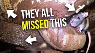 OMG !! This House has Rats, Leaks, Mold, and a HOUSE EATING FUNGUS...