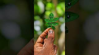 creative photography tips trick withe phone using pro mood? Mobile photography?#aziz_click