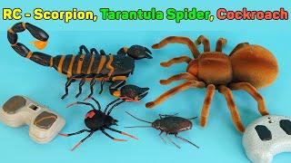 Scorpion, Tarantula Spider And Crawling Cockroach - Remote Control RC | Unboxing & Review