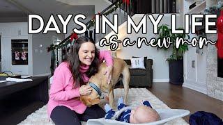 VLOG: baby’s first christmas(!!) + new mom days in my life