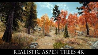 Skyrim SE Mods: Realistic Aspen Trees SE 4k