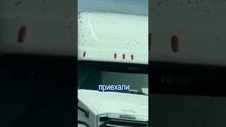 Попробуй Подойди: 250 000 000 ПЧЁЛ Вылетели из Фуры
