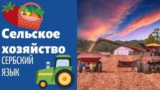 Сельское хозяйство || Уроки сербского