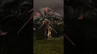 What is the Pale Tree in Guild Wars 2?