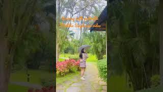 Mallika Singh with Umbrella  Beautiful  #mallikasingh #radharani #radhakrishna #raining