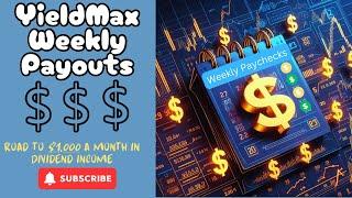 YieldMax Weekly Distribution Schedule | Buying $1,200 worth of Dividend Stocks Ymax QDTE XDTE rdte