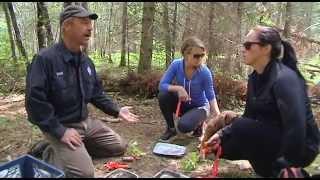 The Weekend Adventurer Canada - Survival School