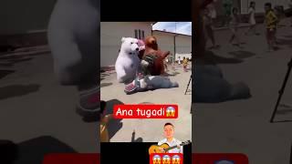 Toʻyda sharmanda boʻldi  #toy #uzbek #viral #videos #shortsvideo #shorts #short #global #news #uz