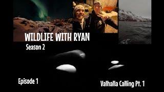 WILDLIFE WITH RYAN Season 2, Ep. 1 -  "Valhalla Calling Pt. 1"  #ORCAS #killerwhale