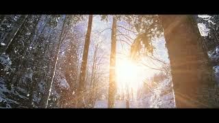 Rome’s Last Noble Palace novel trailer