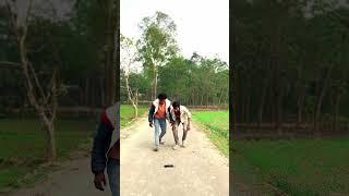 Comedi Video , funny Video , Comedi Shorts , Funny Shorts , Viral Shorts