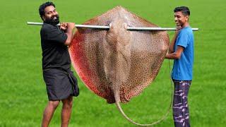 60 Kg Giant StingRay In Mud Hole | തിരണ്ടി ചുട്ട് കറിവെച്ചപ്പോൾ | M4 Tech |