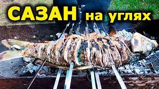 Сазан на мангале целиком. Сазан рецепт на углях. Сазан жареный