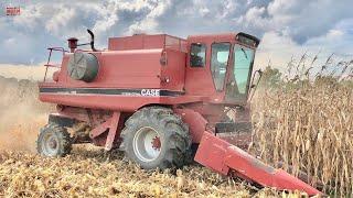 RARE Case IH 1460 Axial-Flow Combine