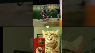 Aura cat funny #funny #cat #dance