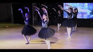 “Swan Lake Fairy Tale” by VDS students ( Annual recital 2022 )