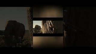 ГРИНСБИ СПРЯТАЛИСЬ В СЛОНЕ #кино #фильм #комедия #фильмы #юмор #shorts