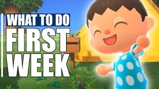  Your First Week in Animal Crossing New Horizons - First Things to Do + Tips!