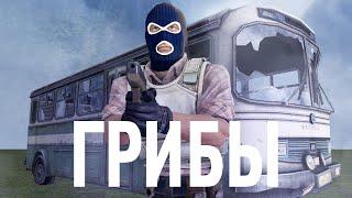 ГРИБЫ - Тает лед CS:GO ПАРОДИЯ Mevil