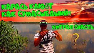 КАРАСЬ ОЗВЕРЕЛ! Клюёт как СУМАСШЕДШИЙ! Рыбалка на карася #рыбалканакарася #ловлякарася #рыбалка2023