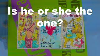 Is he or she THE ONE? - Tarot Reading