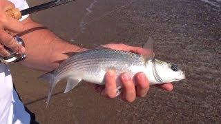 Fishing From The Beach In Greece, Something A Little Different...