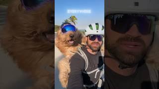 I take my dog EVERYWHERE. #dogdad #goldendoodle #dogbackpack #ebike