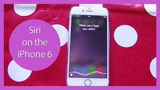 Siri on the iPhone 6 | Rachybop