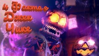 4 Факта о Jack-O-Chica