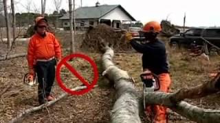 STIHL   Chainsaw Safety, Operation & Maintenance