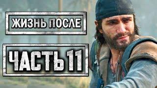 DAYS GONE [ЖИЗНЬ ПОСЛЕ] ● Прохождение #11 ● СПАСТИ ЛИЗУ ЛЮБОЙ ЦЕНОЙ!