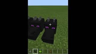 Can you craft ender dragon fire works in Minecraft pocket edition