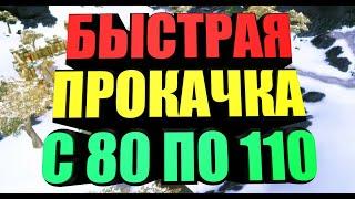 БЫСТРАЯ ПРОКАЧКА ПЕРСОНАЖА 80-110, ПОЛЕЗНЫЕ СОВЕТЫ В БФА