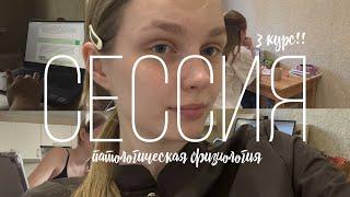 как я сдала сессию по патфизу / неделя подготовки, спбгпму