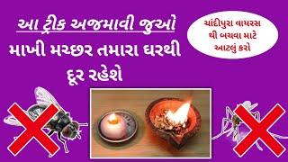 માખી મચ્છર ના ત્રાસથી છુટકારો મેળવવાની રીત. ચાંદીપુરા Virus થી બચવાની રીત. House Fly Removal Tips.