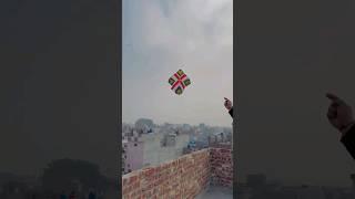 Biggest guda basant 2024 #kiteculture #kiteflying #basantkiteflying #outdooractivity #basant #music