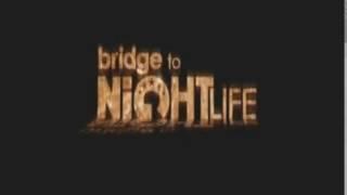 Окончание программы Bridge To NightLife 2010-2013 на BRIDGE TV.